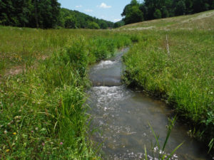 stream restoration project Grave-Creek