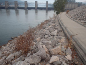 vegetation control at the Huntington US Army Corps of Engineers Locks and Dams Project