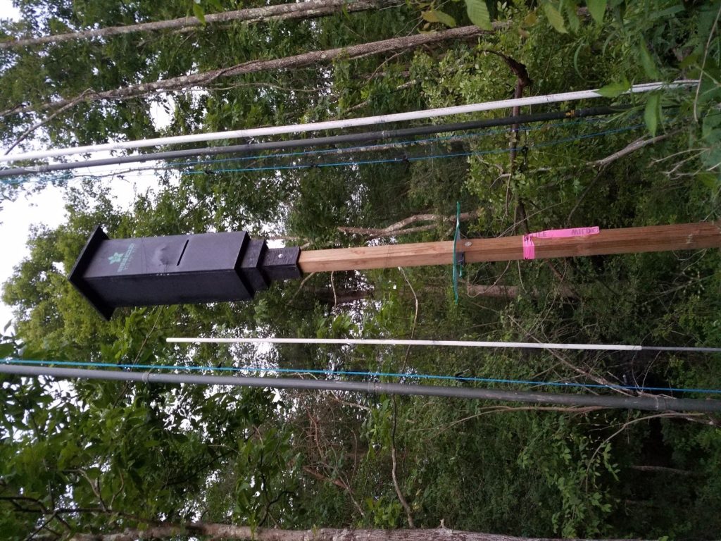 Project 2_box trapping AllStar Ecology