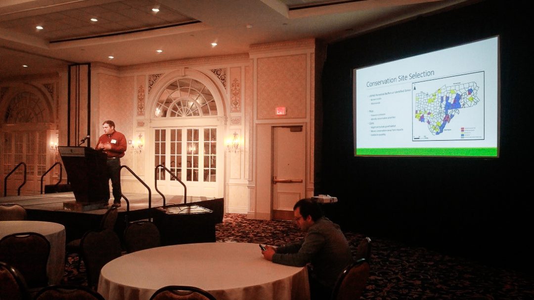 AllStar Attends Joint Bat Working Group Meeting AllStar Ecology