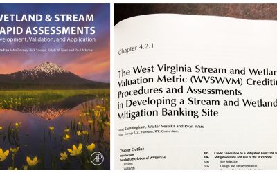AllStar’s Mitigation Expertise Featured in Professional Book: Wetland & Stream Rapid Assessments